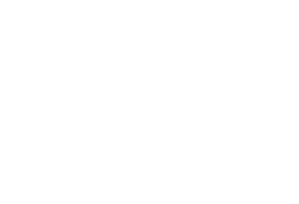 FLYING TOWARDS NEW ERA 私たちと共に新たな時代へ大きく羽ばたきましょう！